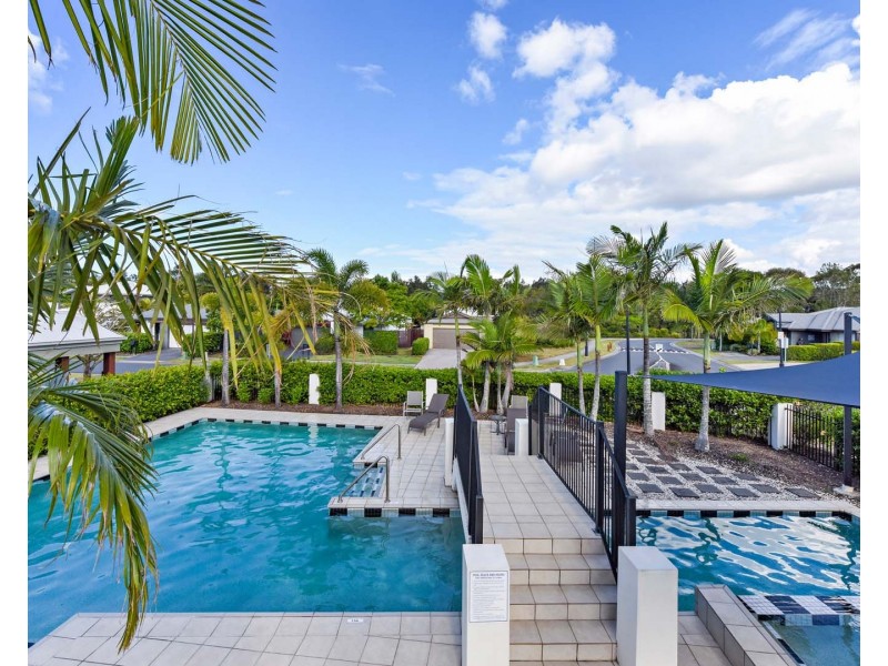 84/80 McIntyre Street, Hendra QLD 4011