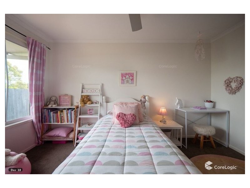 4 Buschman Close, Redbank Plains QLD 4301