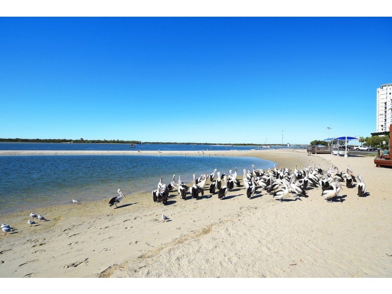 501/300 Marine Parade, Labrador QLD 4215