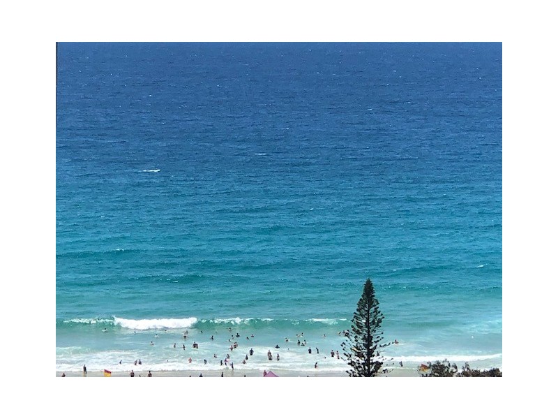 2981 Gold Coast Highway, Surfers Paradise QLD 4217