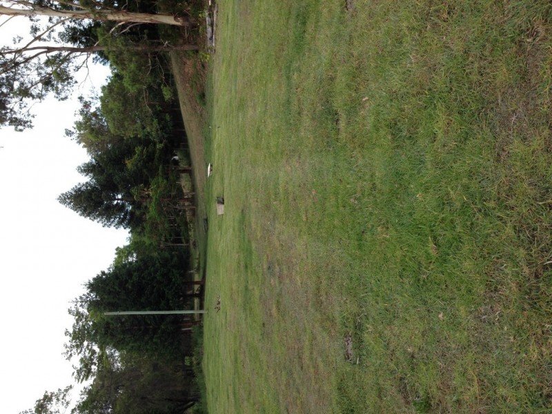 290 Ruffles Road, Willow Vale QLD 4209