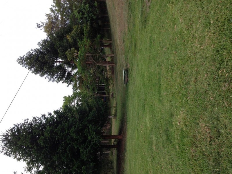 290 Ruffles Road, Willow Vale QLD 4209