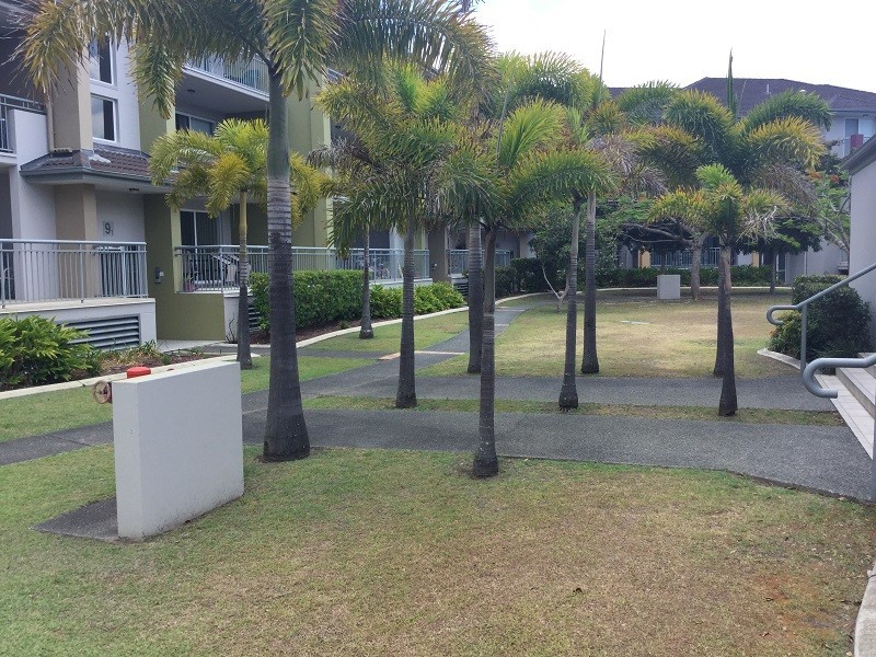 908/33 Clark Street, Biggera Waters QLD 4216