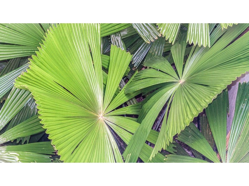 Townsville City QLD 4810