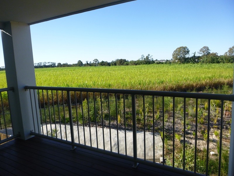 26 Yaun Street, Coomera QLD 4209