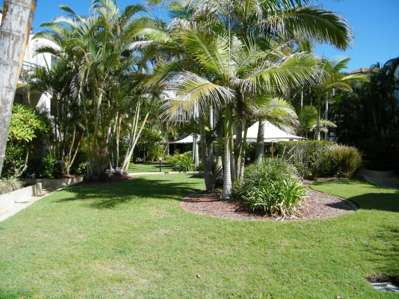 8 437 golden four drive, Tugun QLD 4224