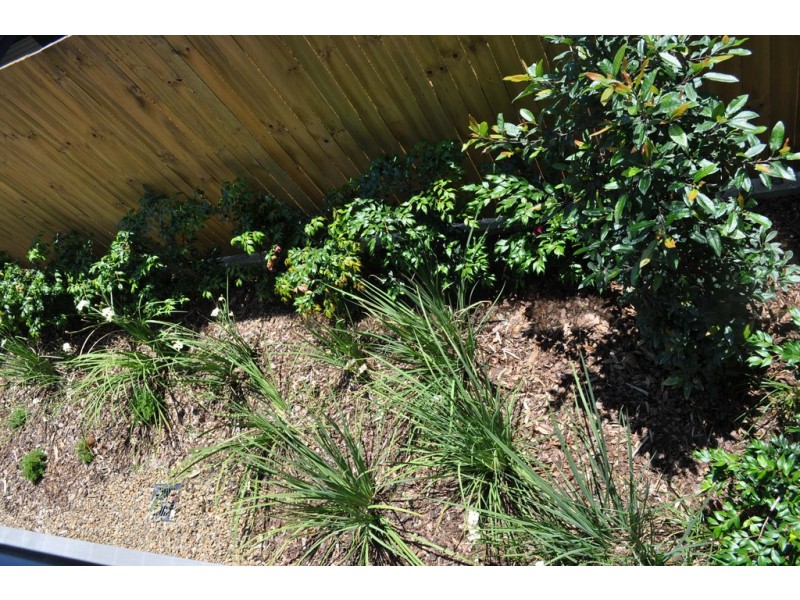 10 Riverview Rd, Nerang QLD 4211