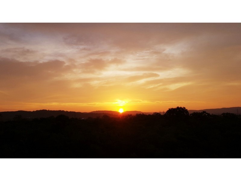 Varsity Lakes QLD 4227