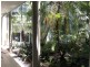 3 Whitmore St, Toowong QLD 4066