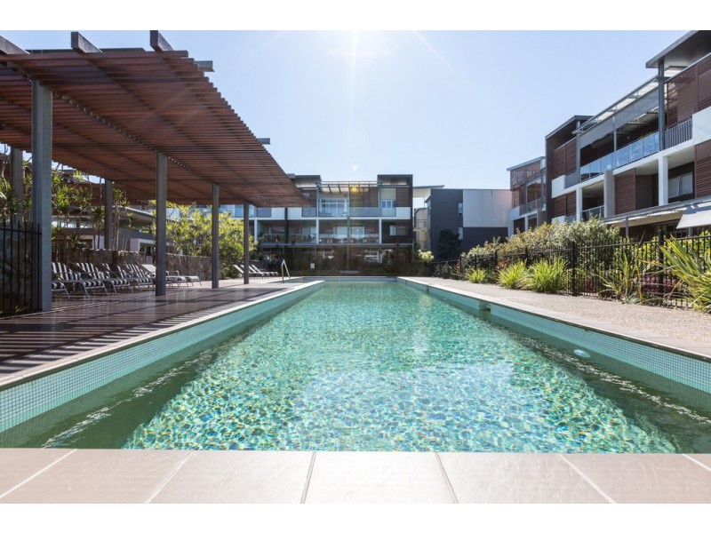43 43, LOVE, Bulimba QLD 4171