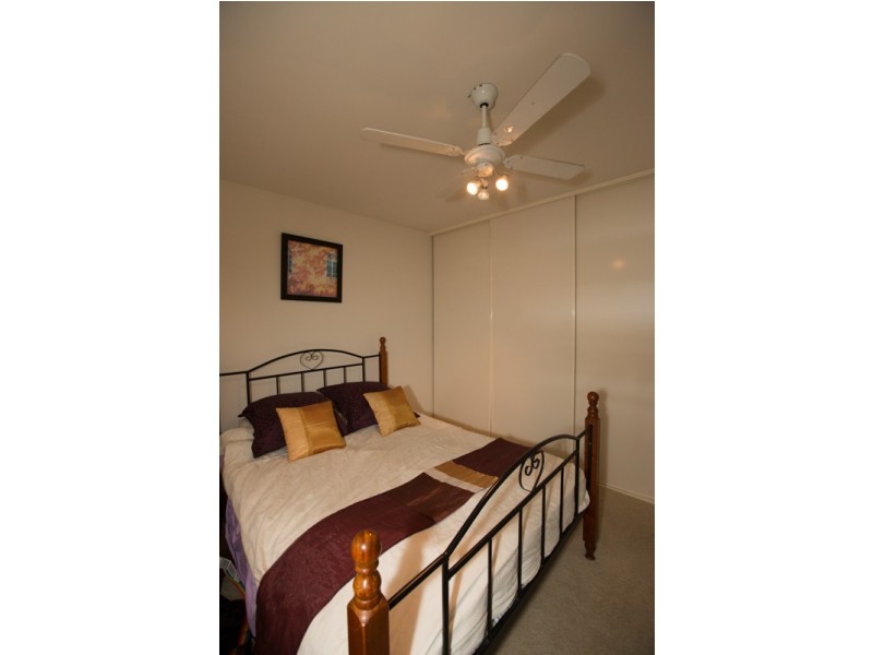 43 43, LOVE, Bulimba QLD 4171