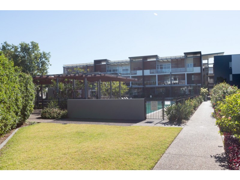 43 43, LOVE, Bulimba QLD 4171