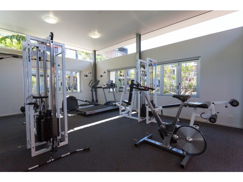 43 43, LOVE, Bulimba QLD 4171