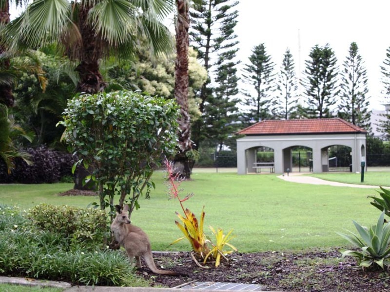 79 19, SANTA BARBARA, Hope Island QLD 4212