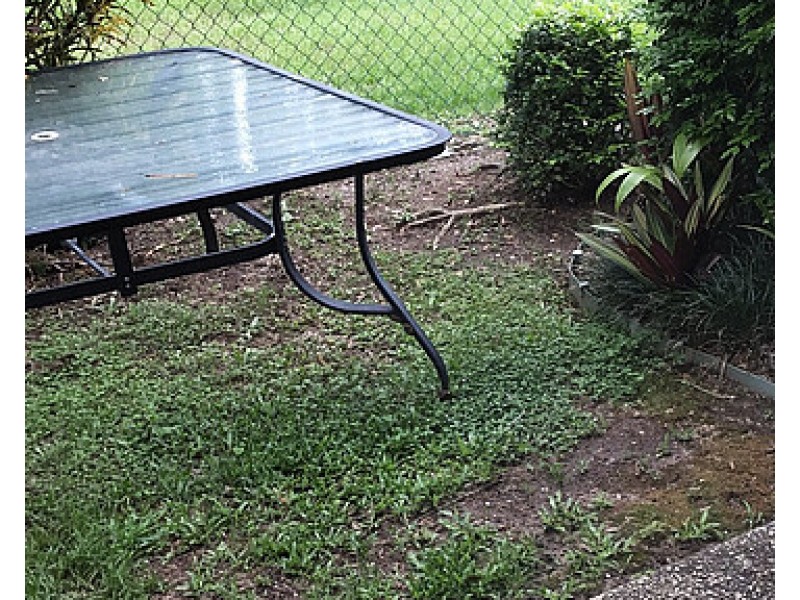 57/13 13 Bowden Court, Nerang QLD 4211