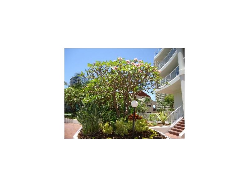 2/15-21 Breaker Street, Main Beach QLD 4217
