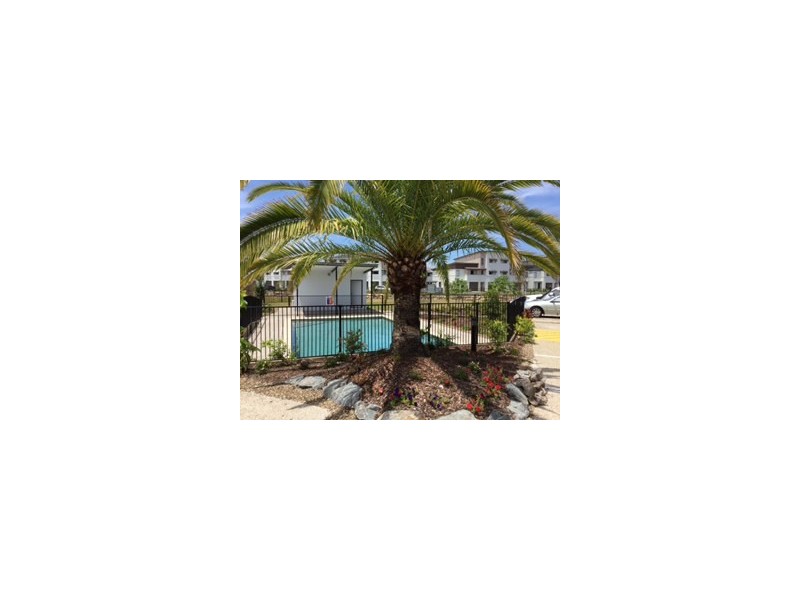 28 Fortune Street, Coomera QLD 4209