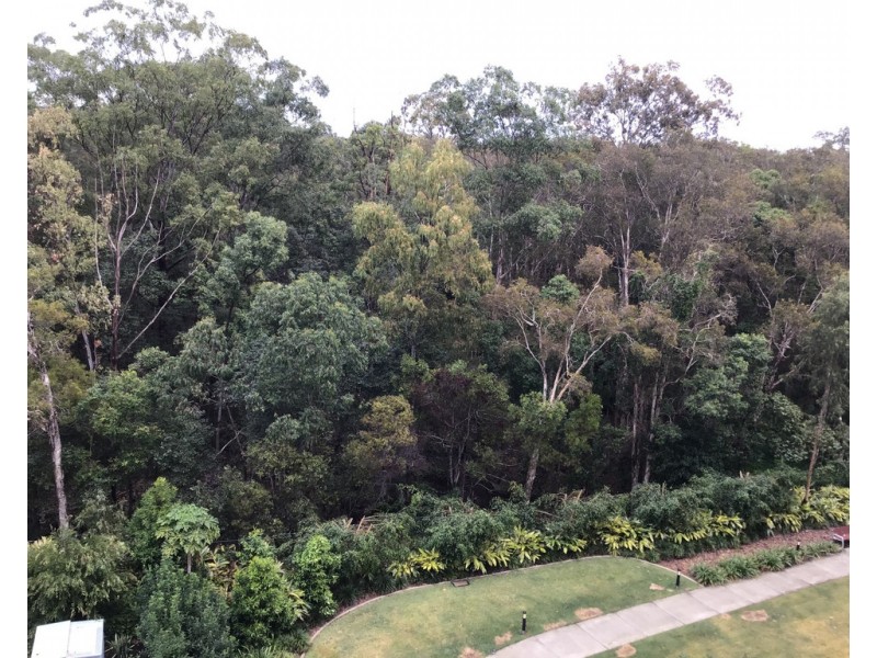 1117/397 CHRISTINE, AVENUE, Varsity Lakes QLD 4227