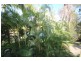 4111 64 Palm Meadows Drive, Carrara QLD 4211