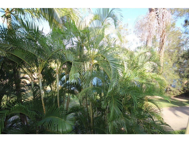 4111 64 Palm Meadows Drive, Carrara QLD 4211