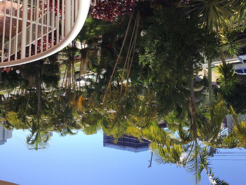 Chevron Island QLD 4217