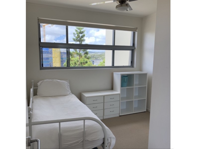 137 Scottsdale Drive, Robina QLD 4226