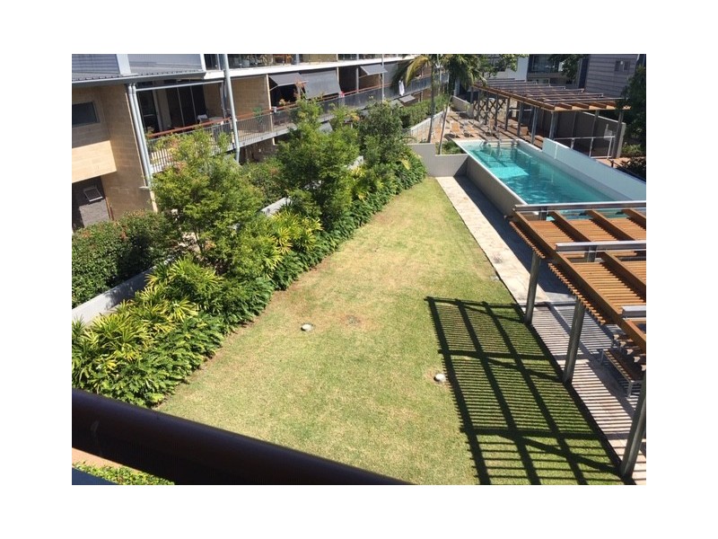 50-17 Ferry Lane, Bulimba QLD 4171