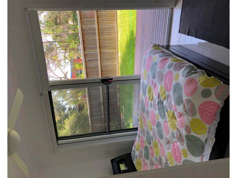6 Ross Crescent, Sunshine Beach QLD 4567