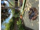 6 Ross Crescent, Sunshine Beach QLD 4567