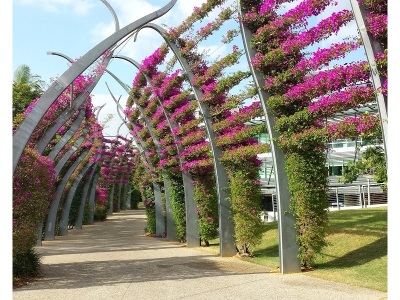 1301/2-4 Edmondstone Street, South Brisbane QLD 4101