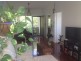 6/19 Juan Street, Alexandra Headland QLD 4572