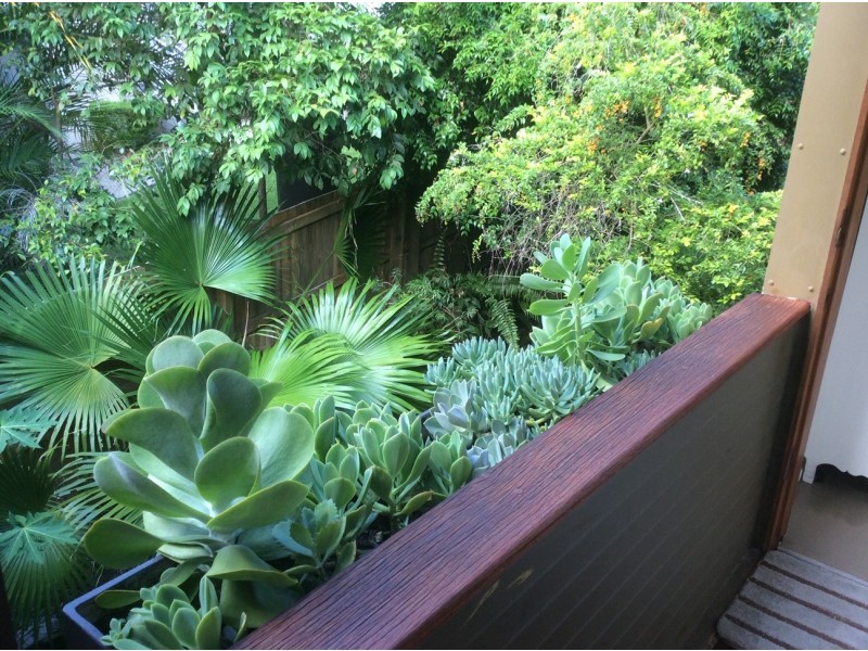 3/20 Katharina Street, Noosa Heads QLD 4567