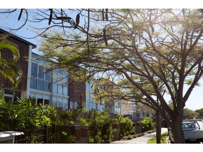 16 Hetherington Ave, Bulimba QLD 4171