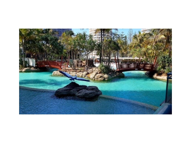 1005/5-19 Palm Avenue, Surfers Paradise QLD 4217