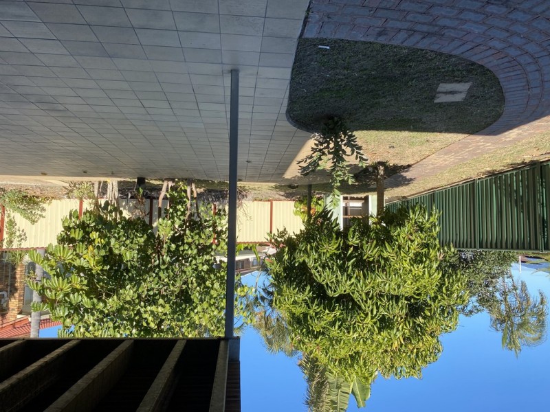 14 Chartreuse Street, Sunnybank Hills QLD 4109