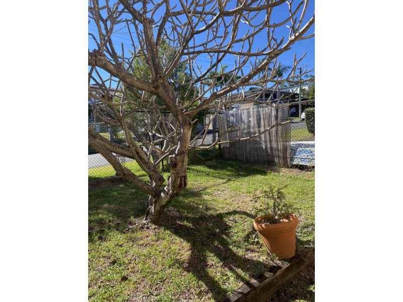 10 Eliane St, Southport QLD 4215