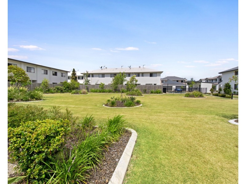 53/26 Yaun Street, Coomera QLD 4209