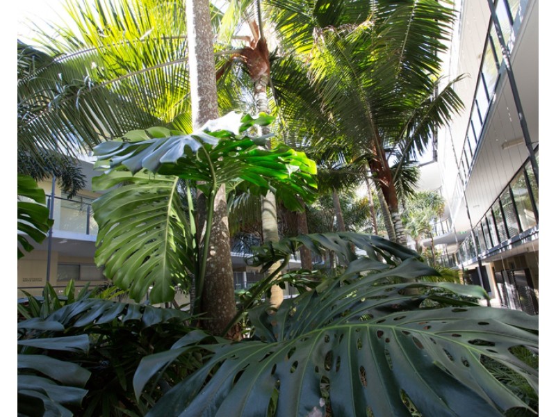 43/57 Grand Parade, Kawana Island QLD 4575