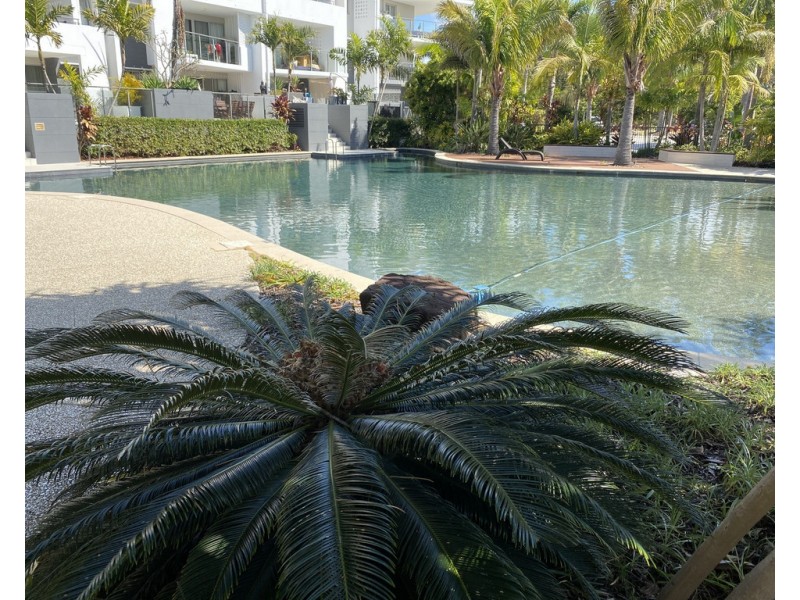 78/57 Grand Parade Parrearra Qld 4575, Kawana Island QLD 4575