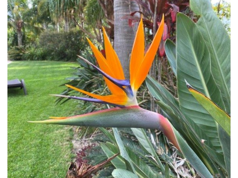 92/57 Grand Parade, Kawana Island QLD 4575