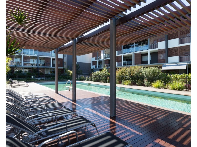 72/16 Hetherington Ave, Bulimba QLD 4171