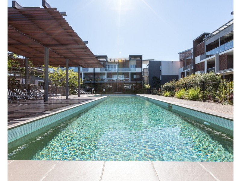 74/16 Hetherington Ave, Bulimba QLD 4171