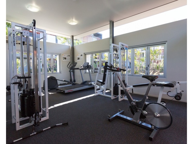 16 Hetherington Ave, Bulimba QLD 4171