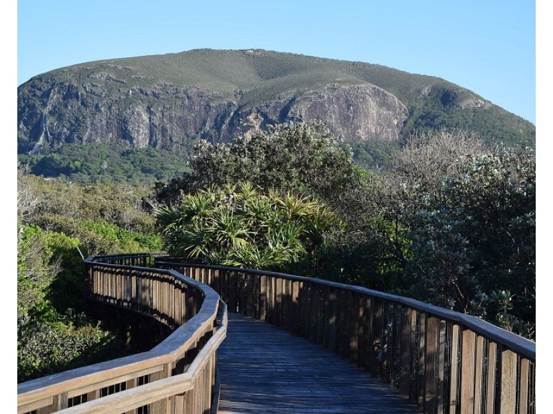 Mount Coolum QLD 4573