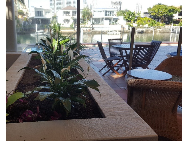 201/7 Mallana  Street, Surfers Paradise QLD 4217