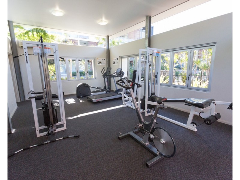 29/43 Love Street, Bulimba QLD 4171