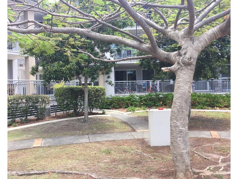 1006/33 CLARK STREET, Biggera Waters QLD 4216