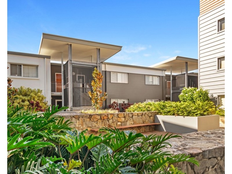 25 Love St, Bulimba QLD 4171