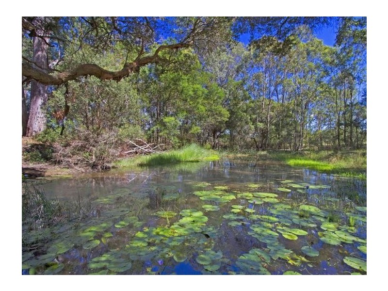 43 Meadows Road, North Richmond NSW 2754