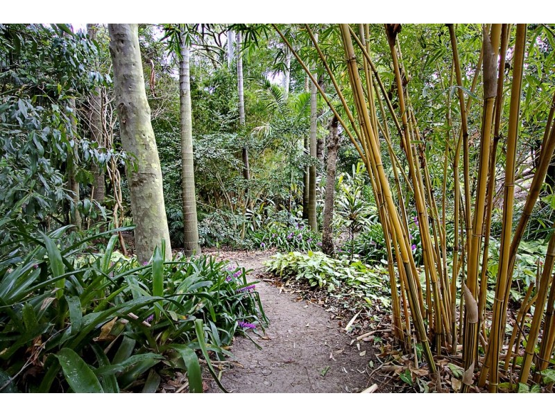 42 Meadows Road, North Richmond NSW 2754